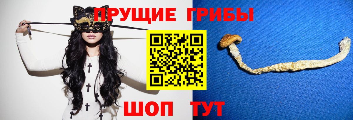 Светлоград  Псилоцибиновые грибы Magic Shrooms  Вход с VPN 